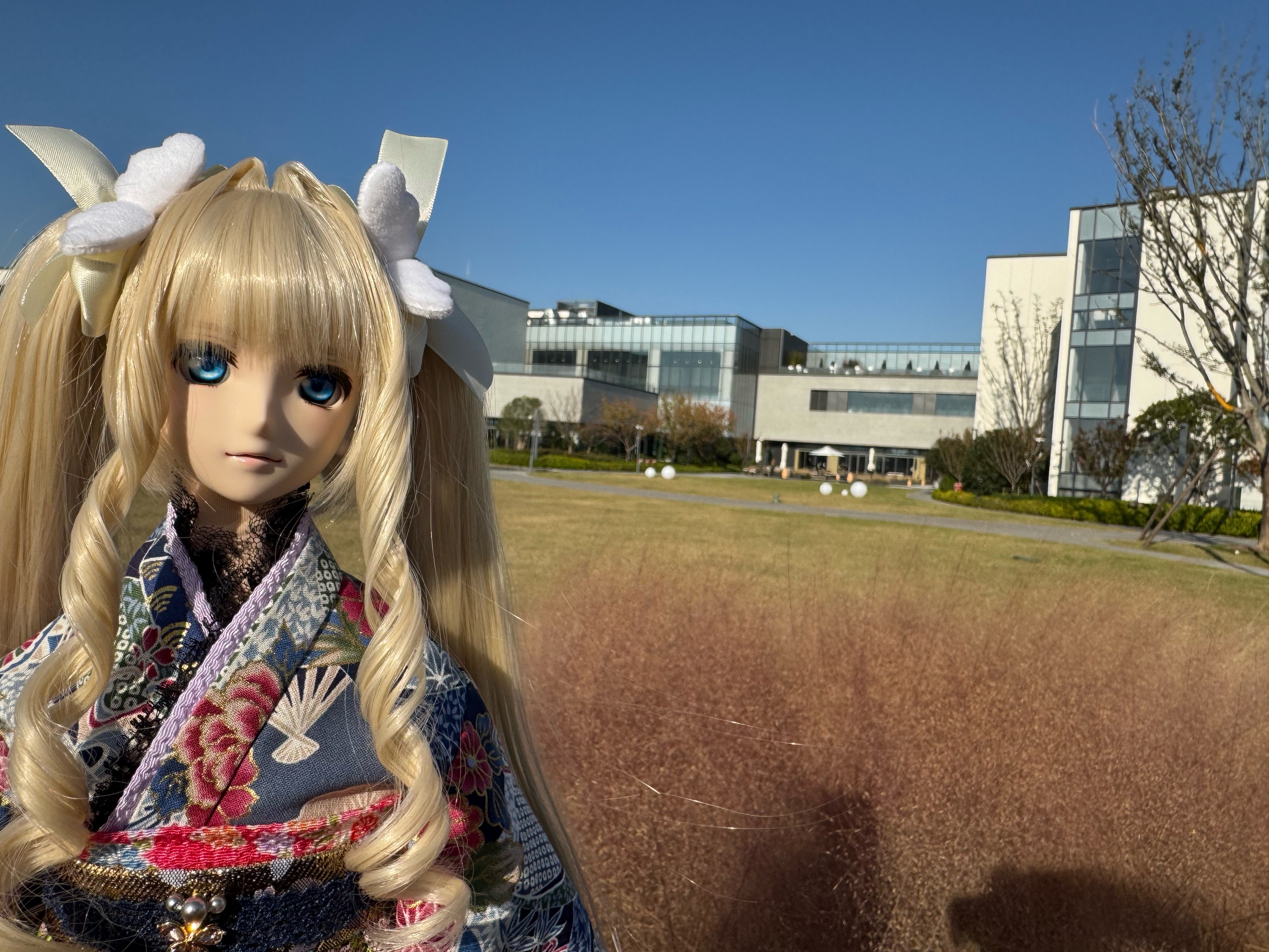 Dollfie Dream シェリル・ノーム - Ara's Homepage